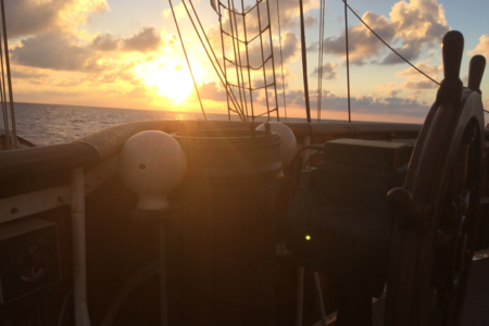 Holly Sailing Blog