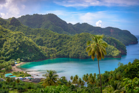 Sea And Palm Trees In Saint Vincent