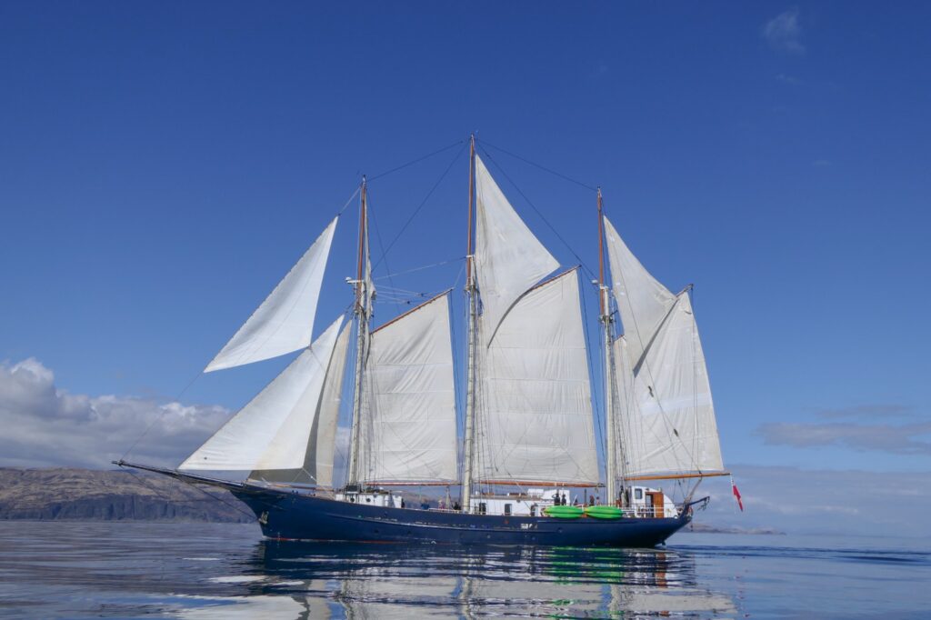 Blue Clipper 5